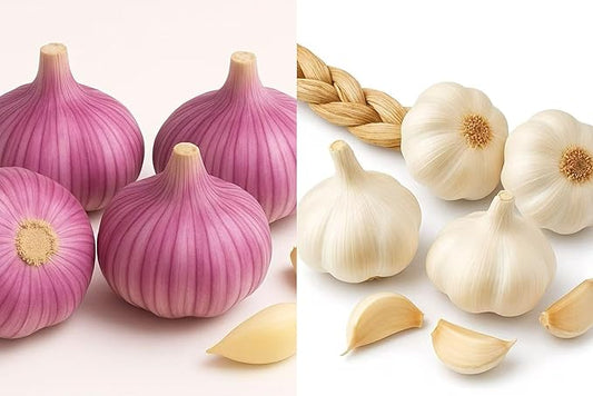 1 lb Mixed Garlic Bulbs for Planting – 4 Red Hardneck + 4 California Softneck – Grow Your Own Fresh, Organic, Non-GMO Garlic